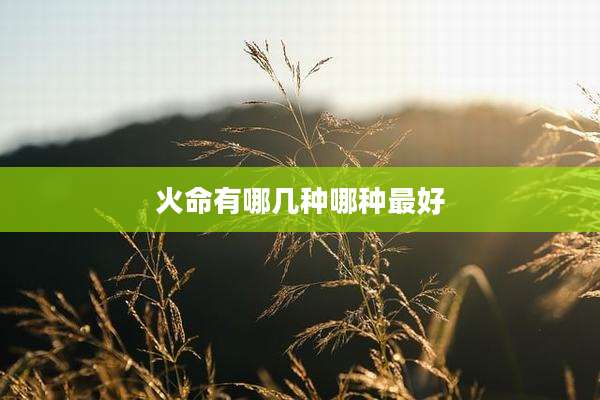 火命有哪几种哪种最好