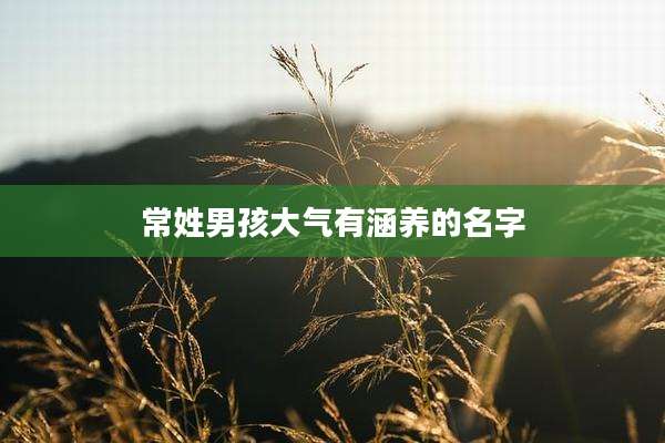 常姓男孩大气有涵养的名字