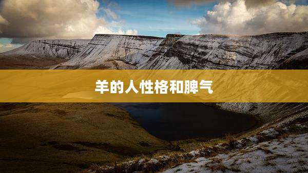 羊的人性格和脾气