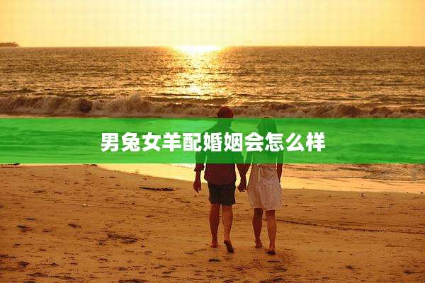 男兔女羊配婚姻会怎么样