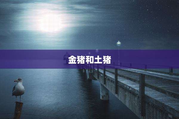 金猪和土猪