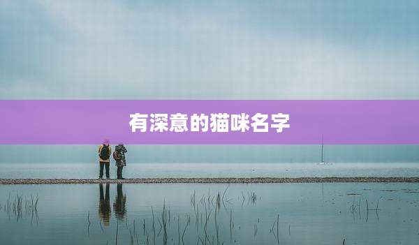 有深意的猫咪名字
