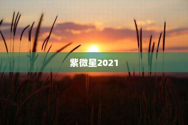 紫微星2021