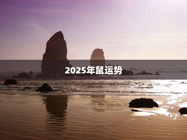 2025年鼠运势