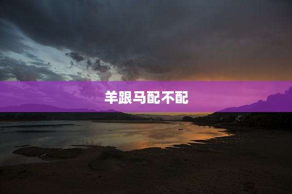 羊跟马配不配