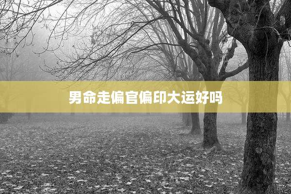 男命走偏官偏印大运好吗