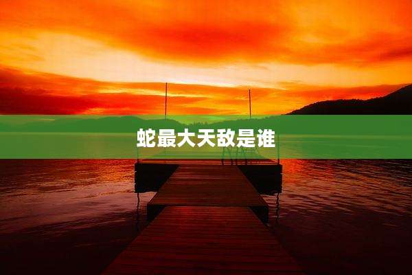 蛇最大天敌是谁