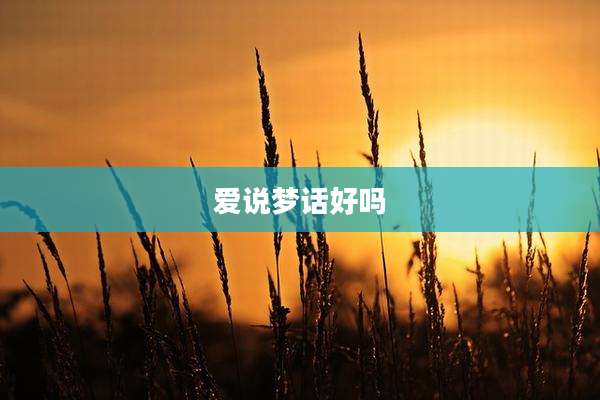 爱说梦话好吗