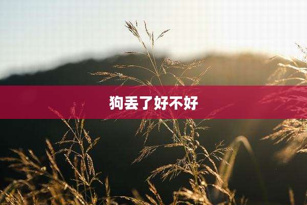 狗丢了好不好