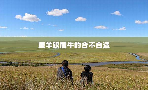 属羊跟属牛的合不合适