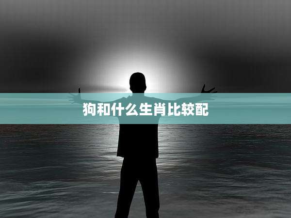 狗和什么生肖比较配