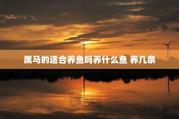 属马的适合养鱼吗养什么鱼 养几条