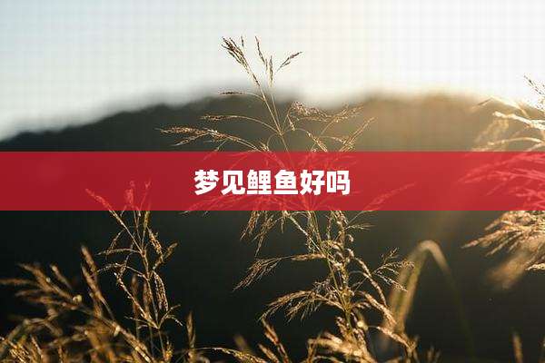 梦见鲤鱼好吗