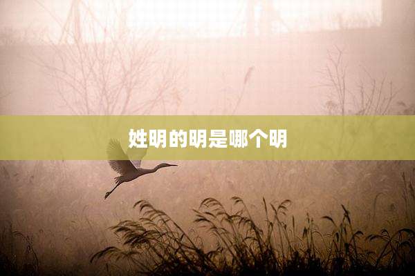 姓明的明是哪个明