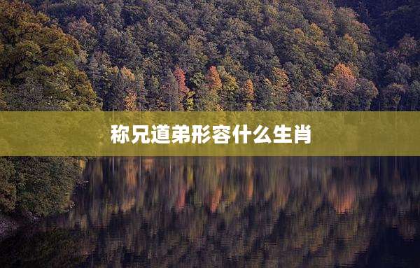 称兄道弟形容什么生肖