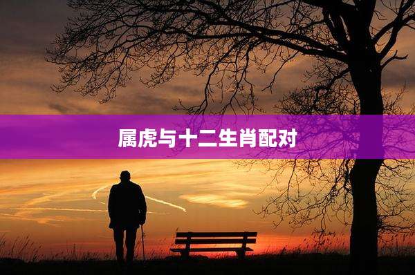 属虎与十二生肖配对