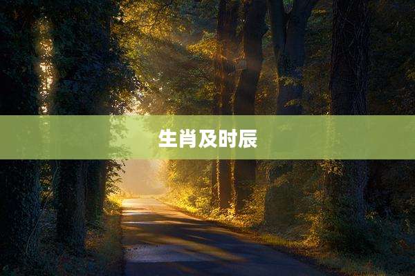生肖及时辰