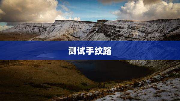 测试手纹路