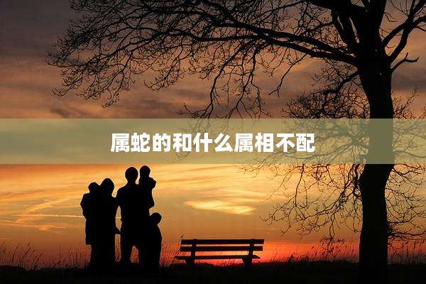 属蛇的和什么属相不配