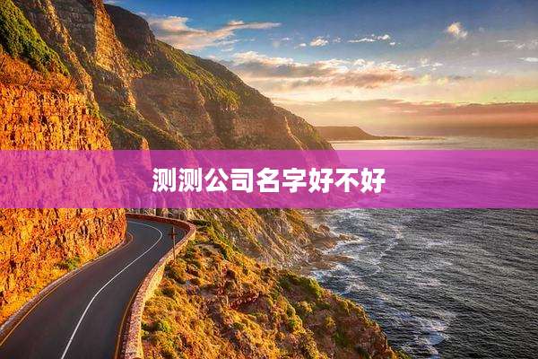 测测公司名字好不好