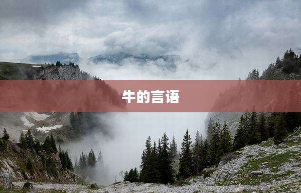 牛的言语