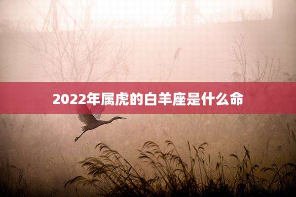 2022年属虎的白羊座是什么命