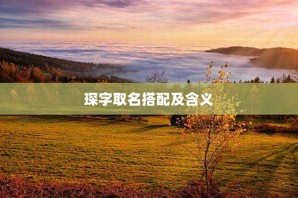 琛字取名搭配及含义