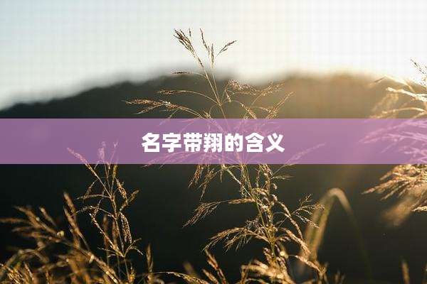 名字带翔的含义