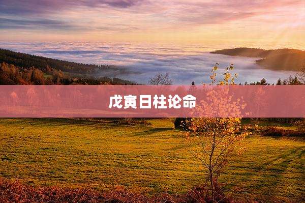 戊寅日柱论命
