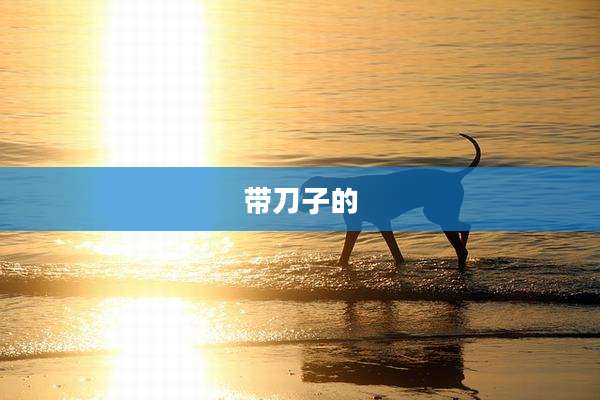 带刀子的