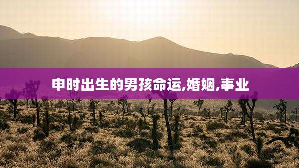申时出生的男孩命运,婚姻,事业