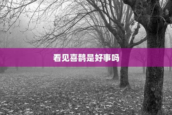 看见喜鹊是好事吗