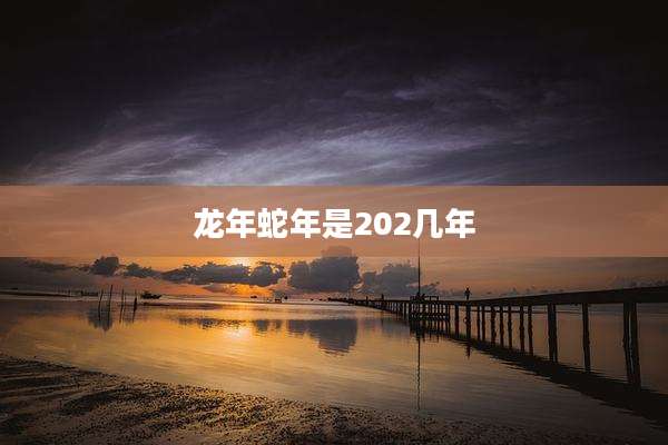龙年蛇年是202几年