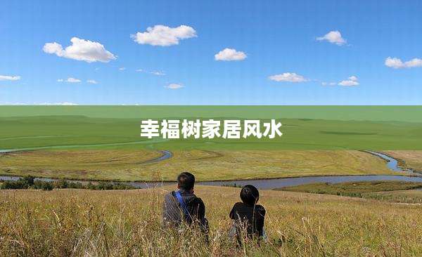 幸福树家居风水