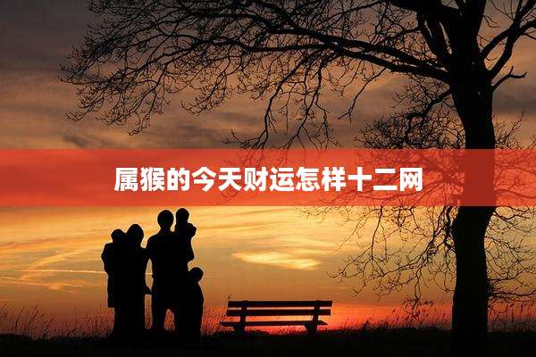 属猴的今天财运怎样十二网