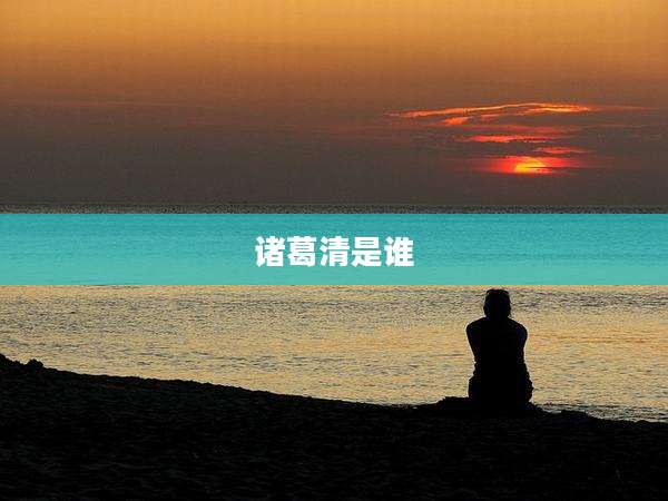 诸葛清是谁