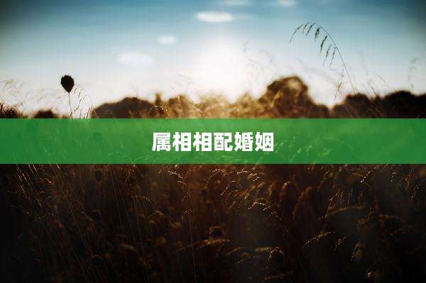 属相相配婚姻