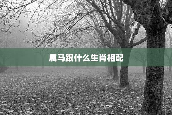 属马跟什么生肖相配
