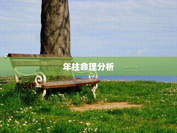 年柱命理分析