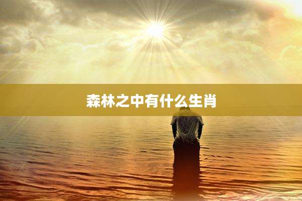 森林之中有什么生肖