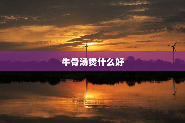 牛骨汤煲什么好
