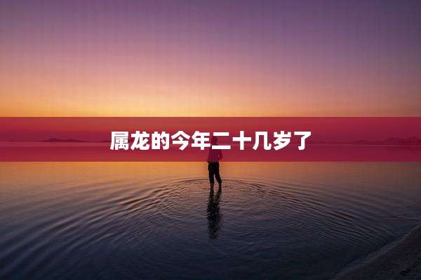 属龙的今年二十几岁了