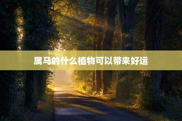 属马的什么植物可以带来好运