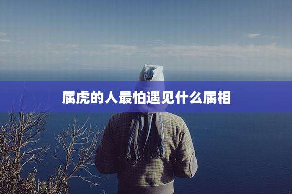 属虎的人最怕遇见什么属相