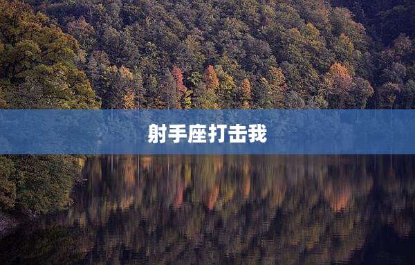 射手座打击我