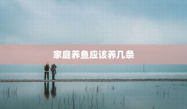 家庭养鱼应该养几条