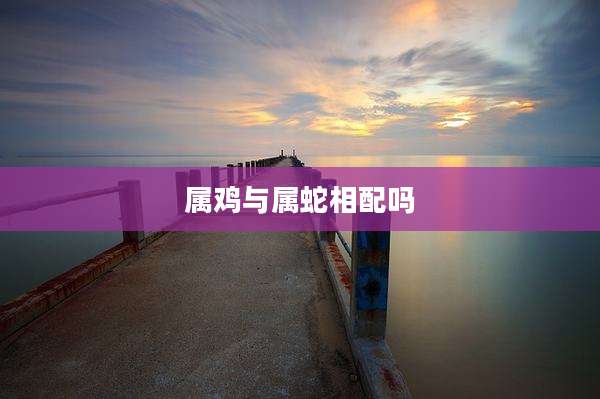 属鸡与属蛇相配吗