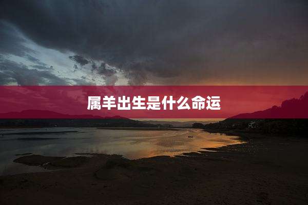 属羊出生是什么命运