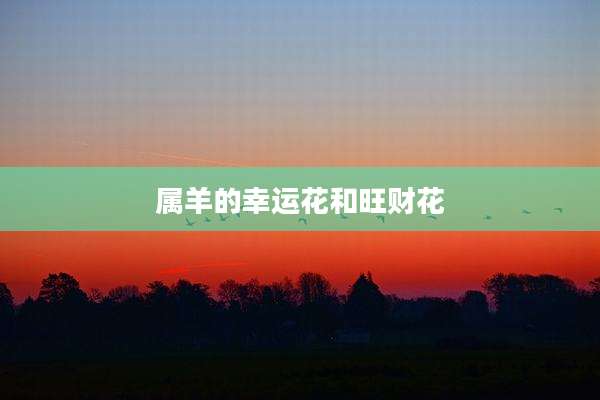 属羊的幸运花和旺财花