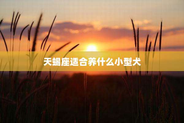 天蝎座适合养什么小型犬